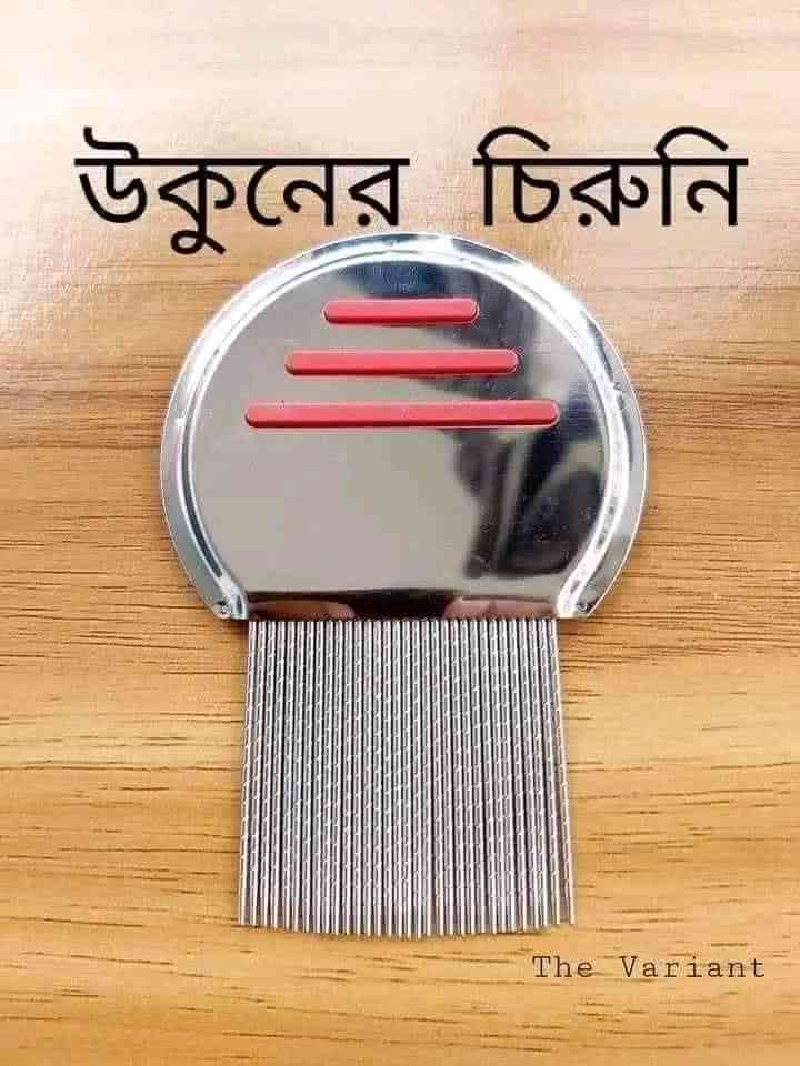 উকুন নাশক চিরুনি