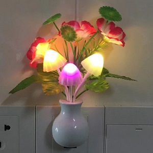Sensor Light